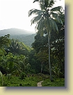 Colombia-Tayrona-National-Park-Sept2011 (259) * 2736 x 3648 * (4.45MB)